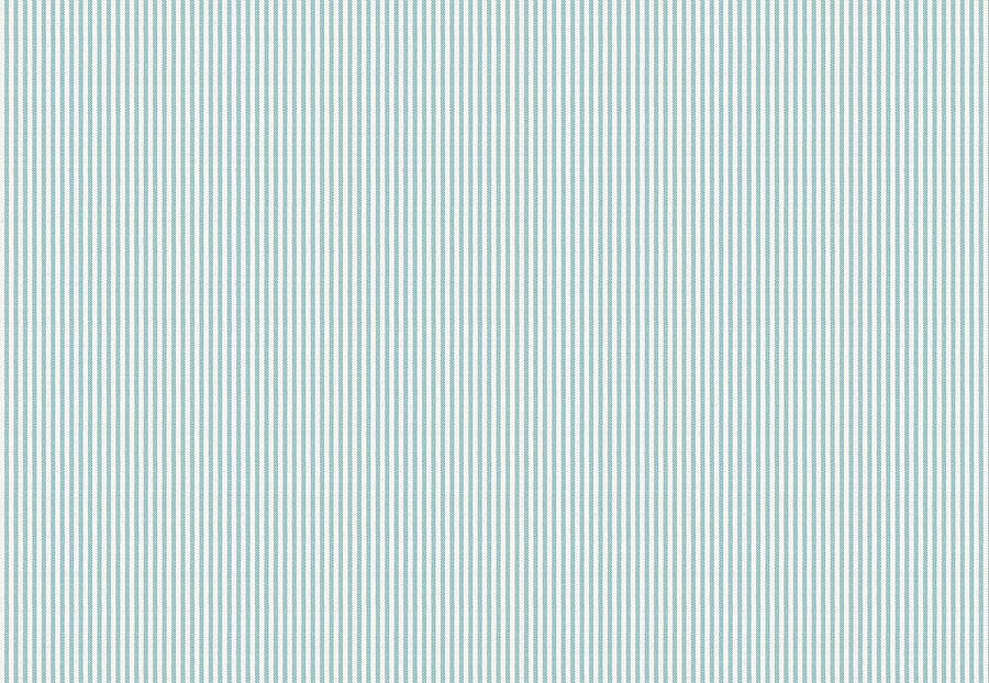 Ткань Fabricut Clean & Classic Indoor/Outdoor Checks & Stripes HikingTicking/Aquamarine