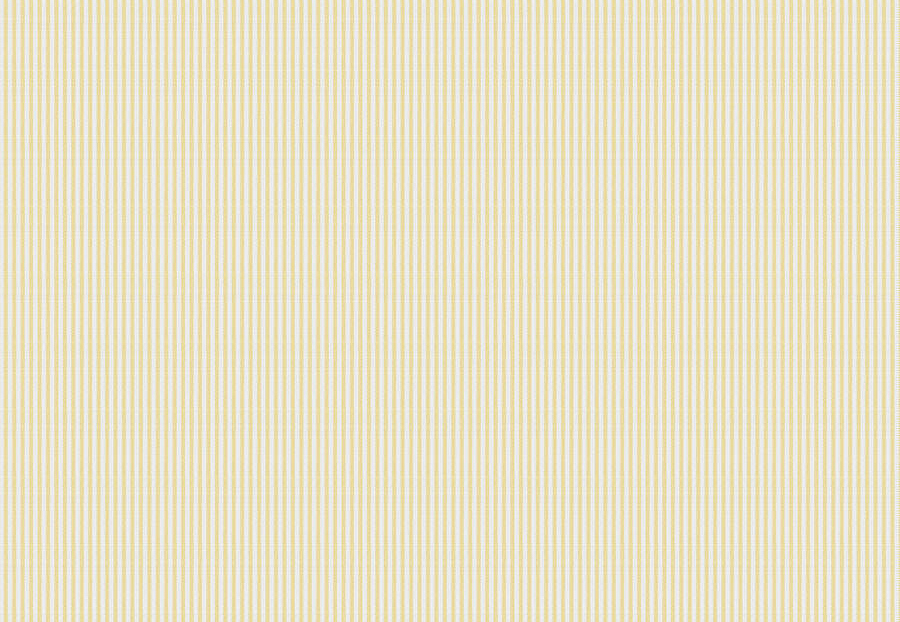 Ткань Fabricut Clean & Classic Indoor/Outdoor Checks & Stripes HikingTicking/Lemon