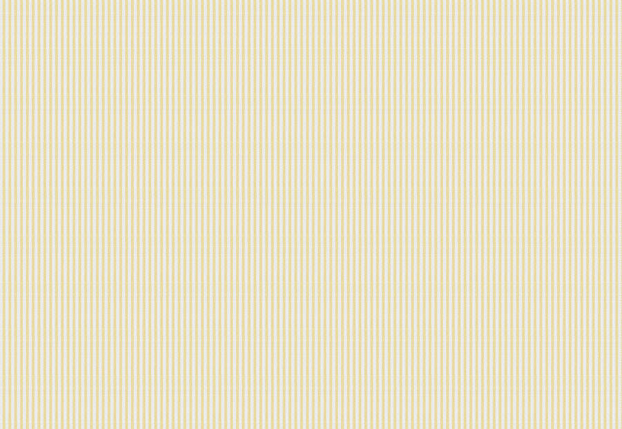 Ткань Fabricut Clean & Classic Indoor/Outdoor Checks & Stripes HikingTicking/Lemon