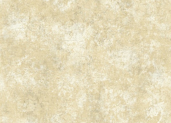 Обои Studio 465 Paris RS72605