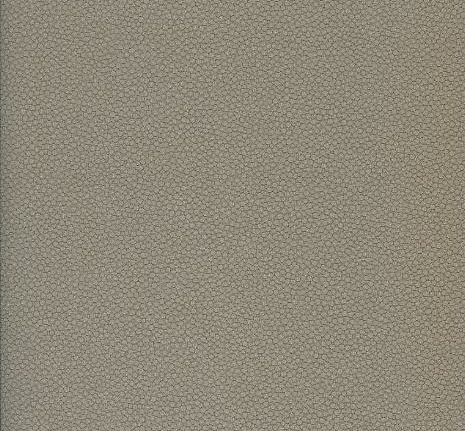 Обои Caselio Seduction SDN 5750-92-55