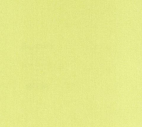 Обои Caselio Butterfly BTY 6011-70-53