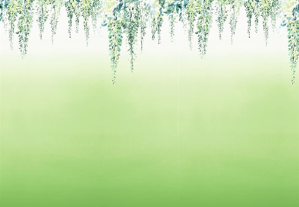 Обои Designers Guild Shanghai Garden PDG657/01