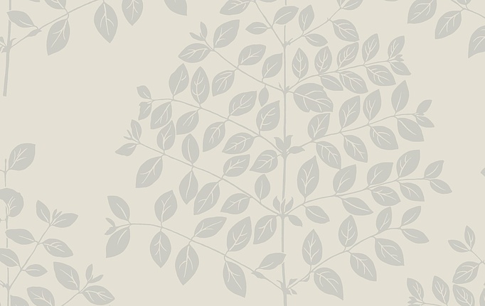 Американские обои York, коллекция Modern Nature II (Candice Olson), артикул OS4251