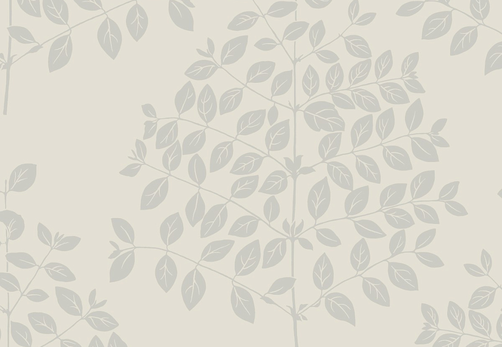 Обои York Modern Nature II (Candice Olson) OS4251