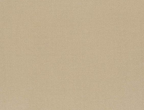 Ткань Daylight Amilly Vion/Beige