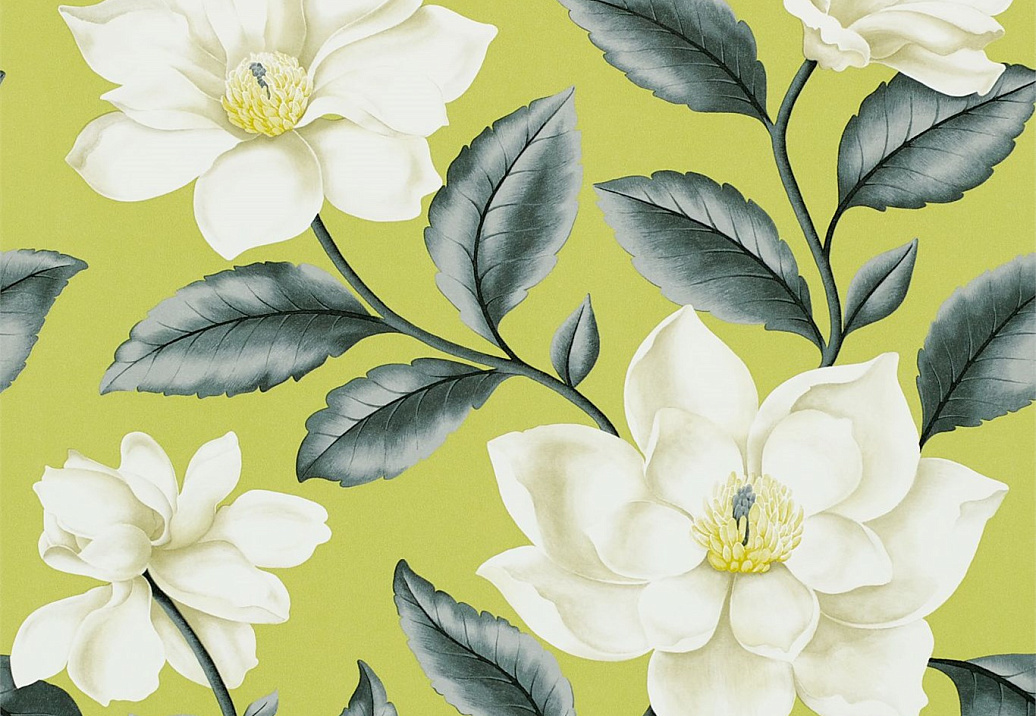 Обои Sanderson Wallpapers from a Painters Garden DAPGGR101