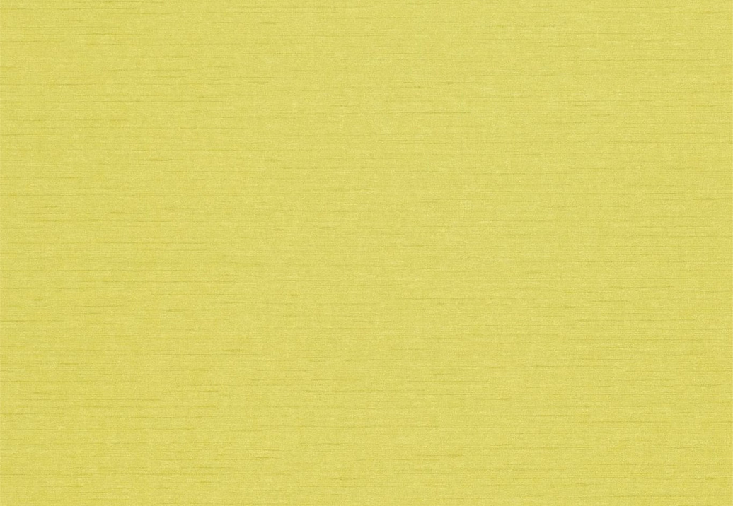 Обои Sanderson Wallpapers from a Painters Garden DAPGLD104
