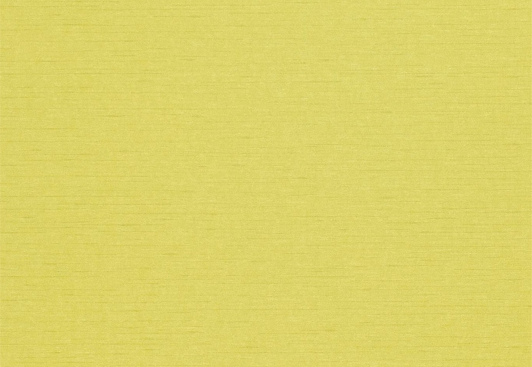 Обои Sanderson Wallpapers from a Painters Garden DAPGLD104