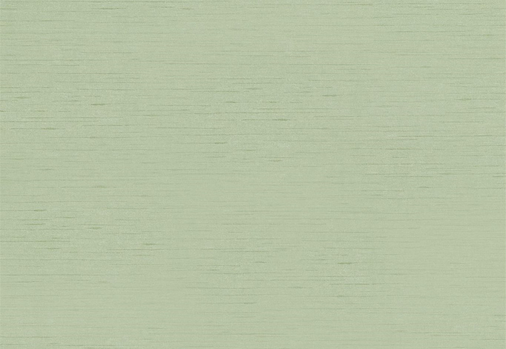 Обои Sanderson Wallpapers from a Painters Garden DAPGLD105