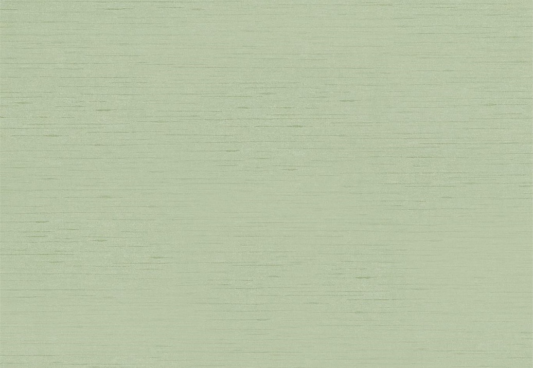 Обои Sanderson Wallpapers from a Painters Garden DAPGLD105