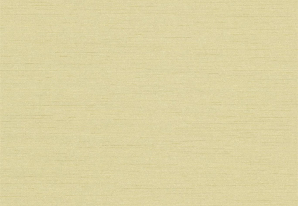 Обои Sanderson Wallpapers from a Painters Garden DAPGLD106