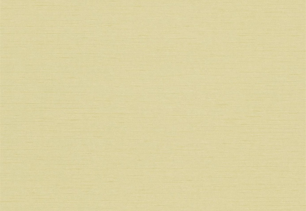 Обои Sanderson Wallpapers from a Painters Garden DAPGLD106