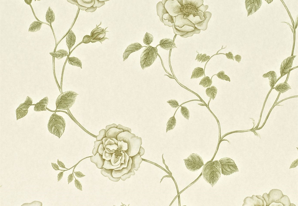 Обои Sanderson Wallpapers from a Painters Garden DAPGRO101