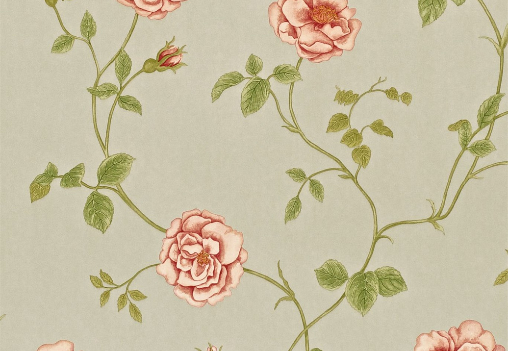 Обои Sanderson Wallpapers from a Painters Garden DAPGRO103