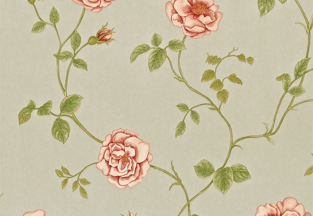 Обои Sanderson Wallpapers from a Painters Garden DAPGRO103