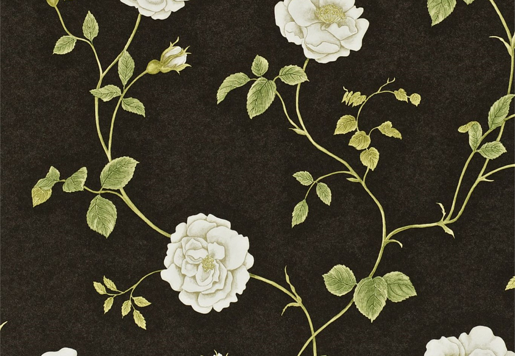Обои Sanderson Wallpapers from a Painters Garden DAPGRO104
