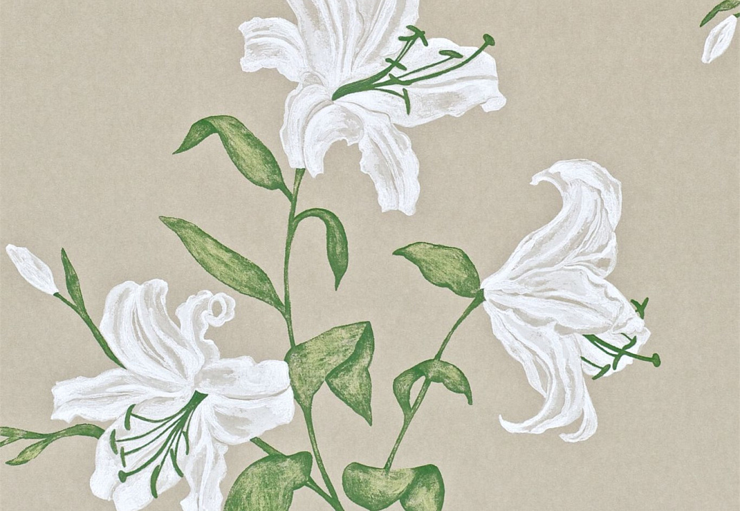 Обои Sanderson Wallpapers from a Painters Garden DAPGSE102