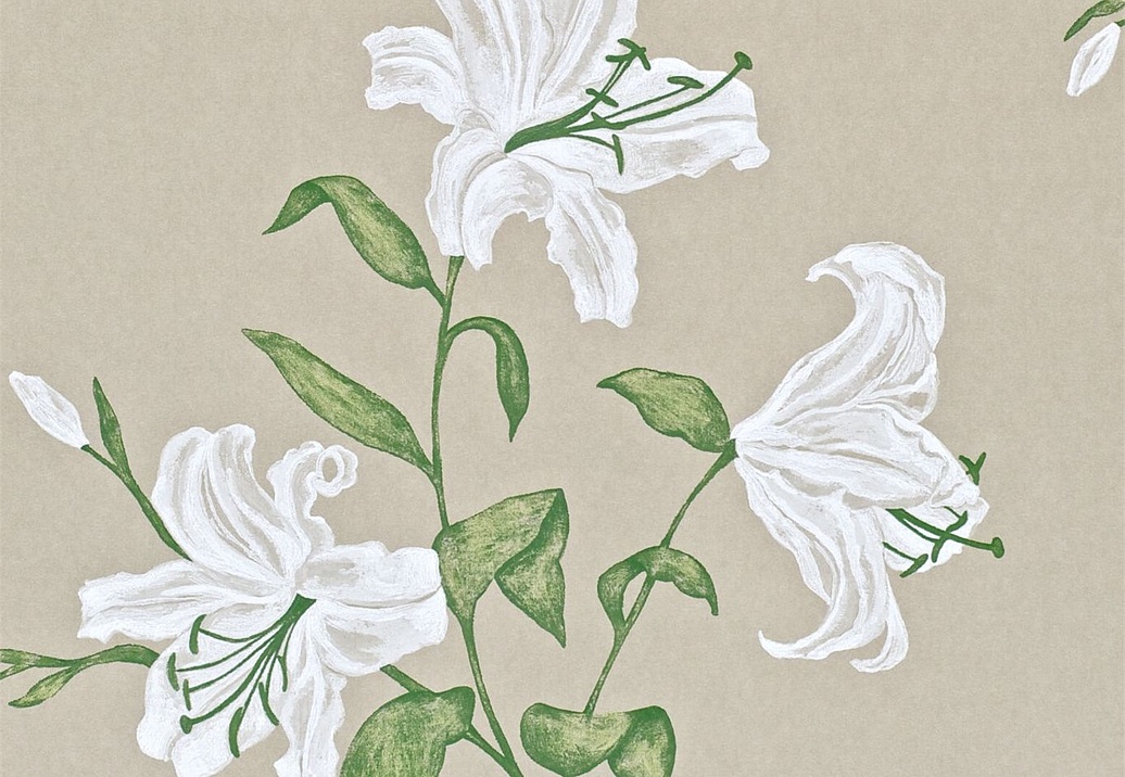Обои Sanderson Wallpapers from a Painters Garden DAPGSE102