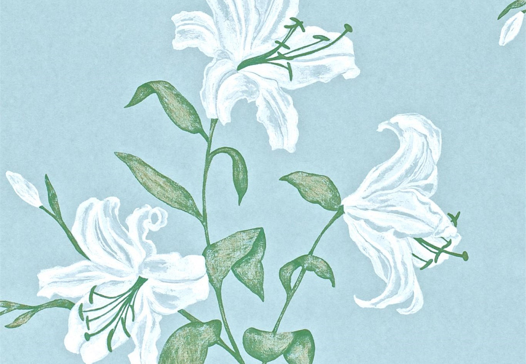 Обои Sanderson Wallpapers from a Painters Garden DAPGSE103