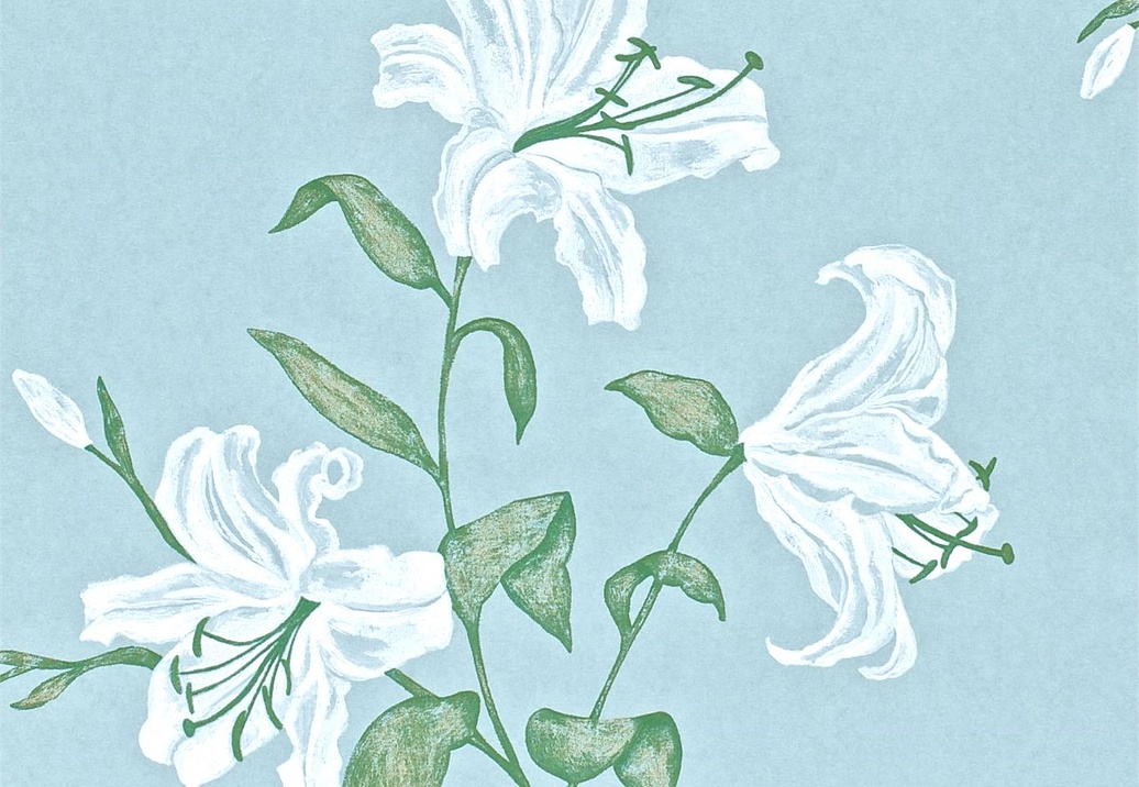 Обои Sanderson Wallpapers from a Painters Garden DAPGSE103