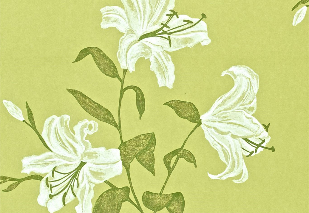 Обои Sanderson Wallpapers from a Painters Garden DAPGSE104
