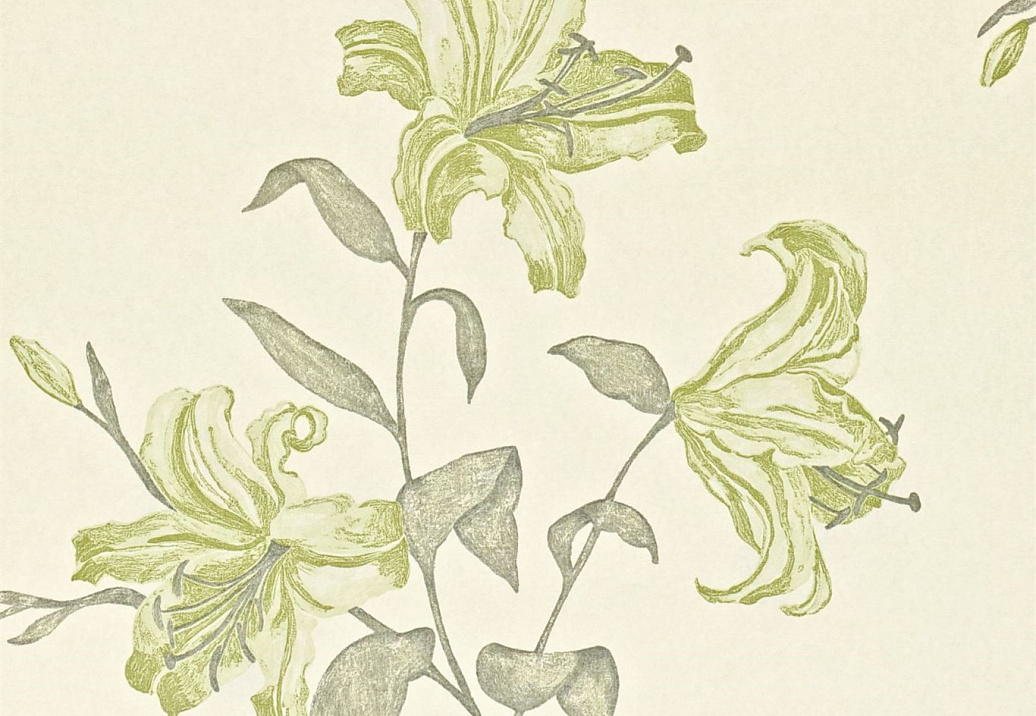 Обои Sanderson Wallpapers from a Painters Garden DAPGSE105