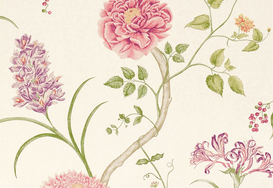 Обои Sanderson Wallpapers from a Painters Garden DAPGST101