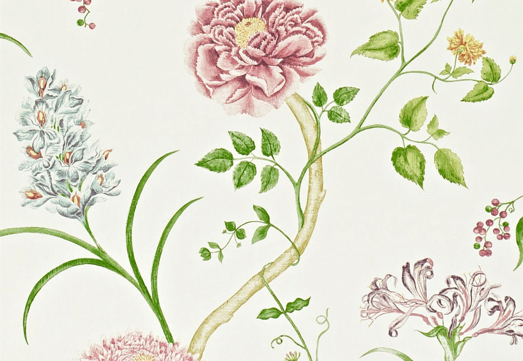 Обои Sanderson Wallpapers from a Painters Garden DAPGST103