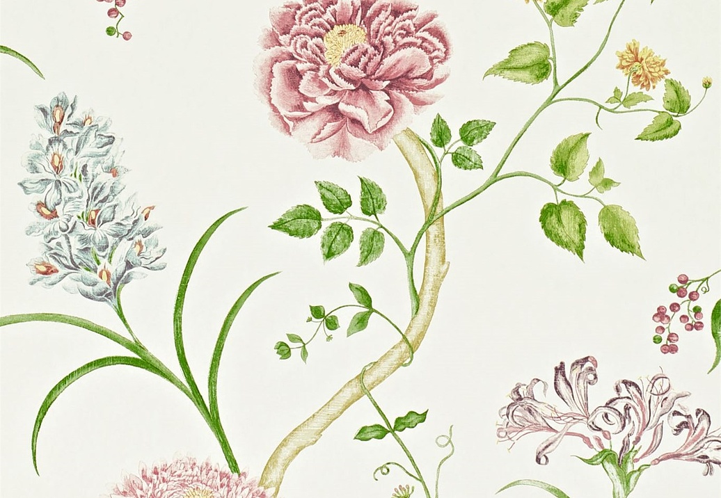 Обои Sanderson Wallpapers from a Painters Garden DAPGST103