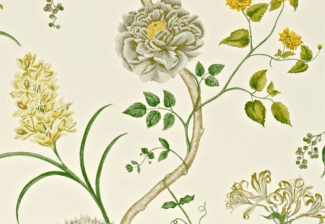 Обои Sanderson Wallpapers from a Painters Garden DAPGST104