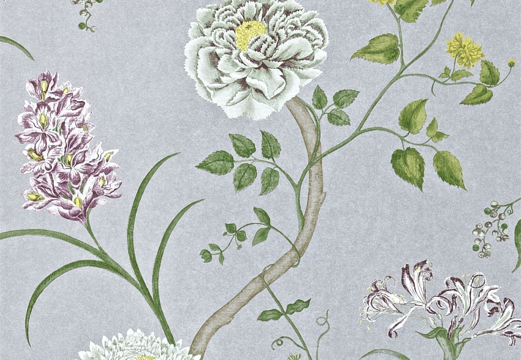 Обои Sanderson Wallpapers from a Painters Garden DAPGST105