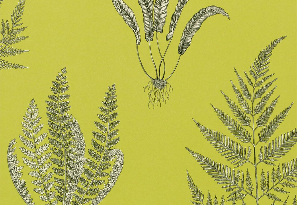 Обои Sanderson Wallpapers from a Painters Garden DAPGWO101