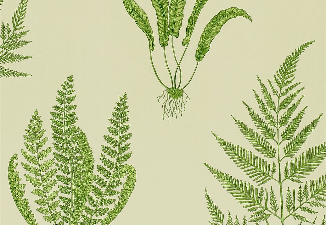 Обои Sanderson Wallpapers from a Painters Garden DAPGWO102