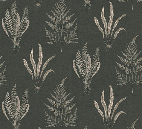 Обои Sanderson Wallpapers from a Painters Garden DAPGWO104