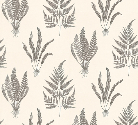 Обои Sanderson Wallpapers from a Painters Garden DAPGWO105