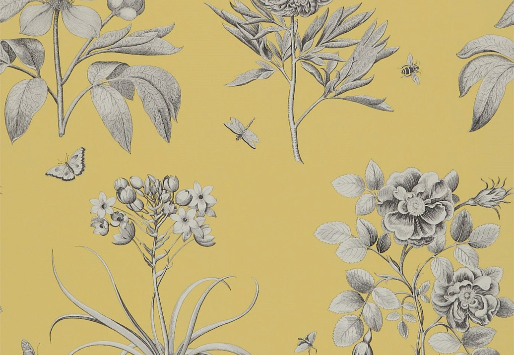 Обои Sanderson Parchment Flowers DPFWER104