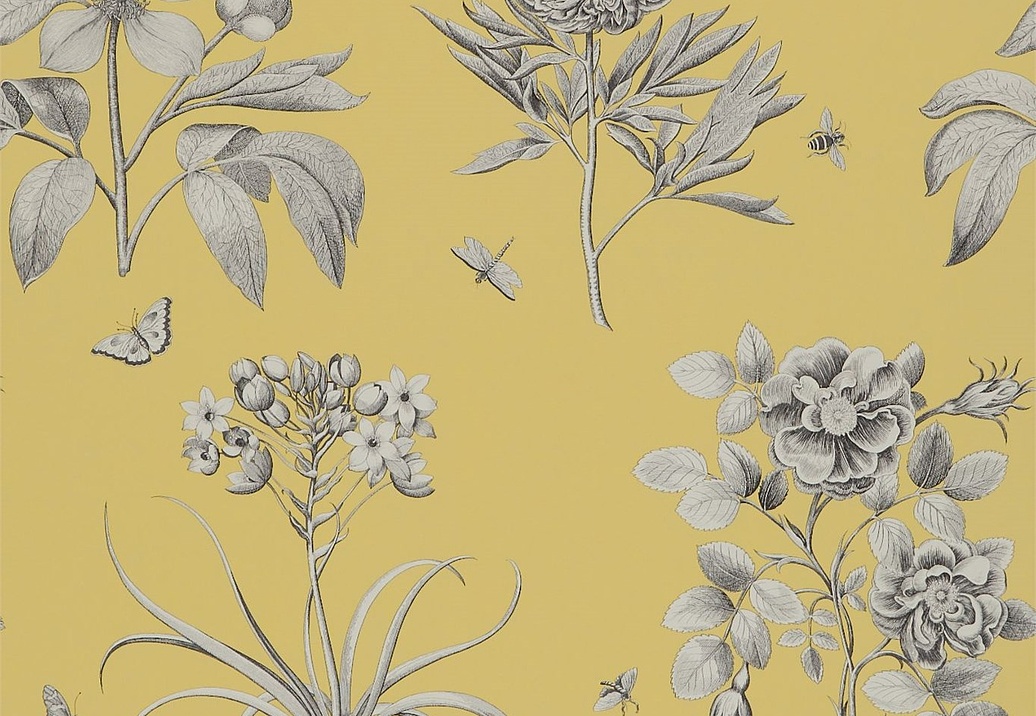 Обои Sanderson Parchment Flowers DPFWER104