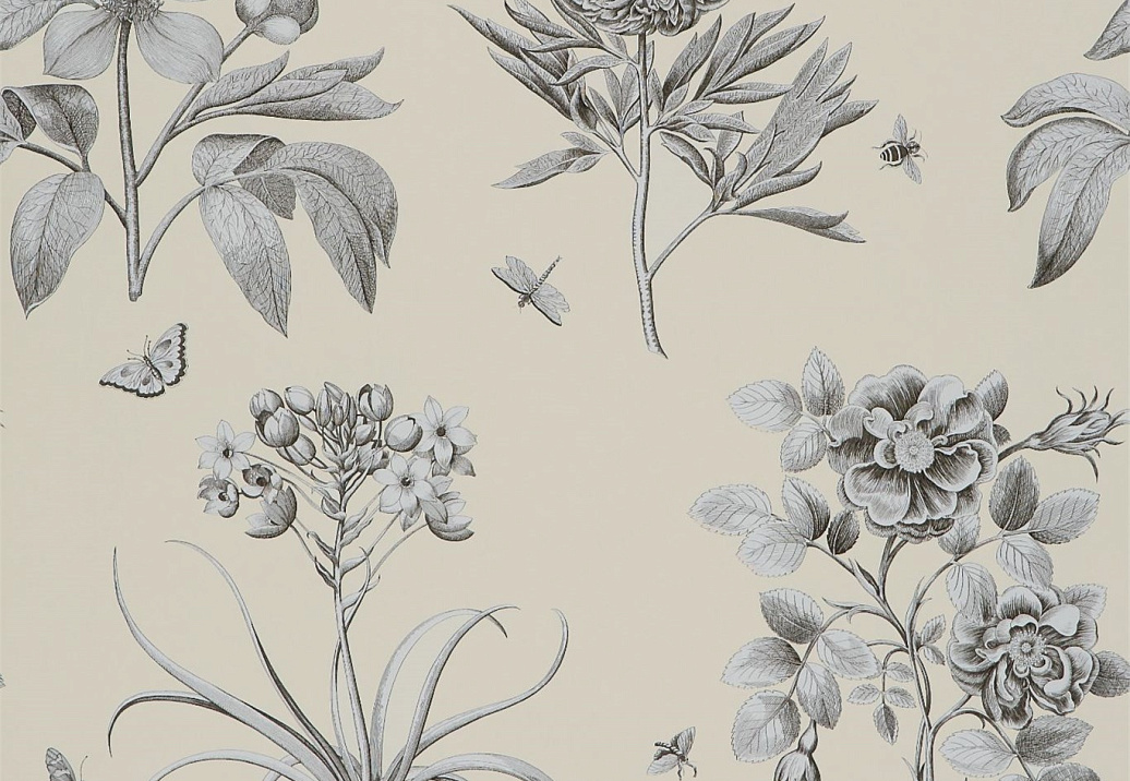 Обои Sanderson Parchment Flowers DPFWER106