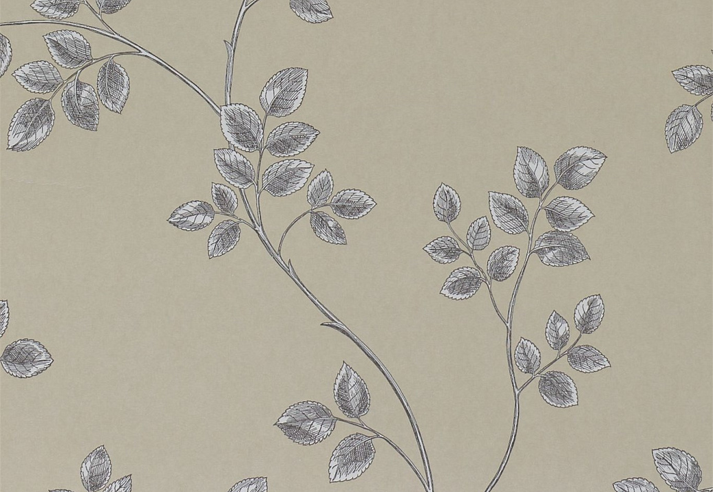 Обои Sanderson Parchment Flowers DPFWFR104