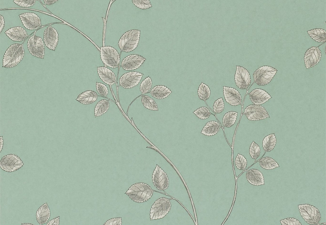 Обои Sanderson Parchment Flowers DPFWFR105
