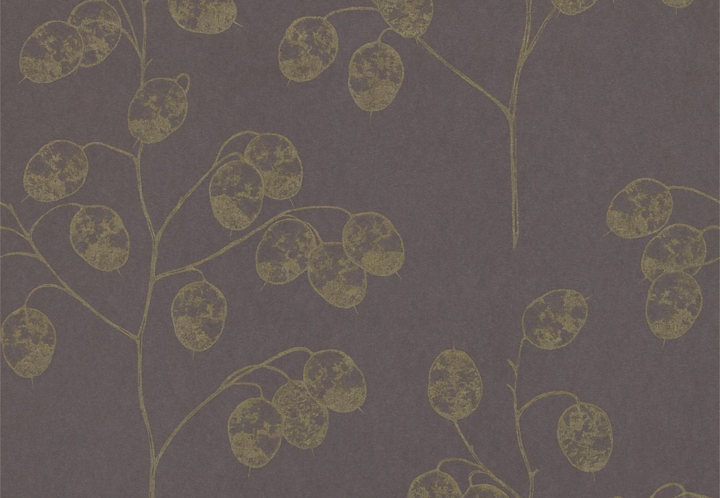 Обои Sanderson Parchment Flowers DPFWHO102