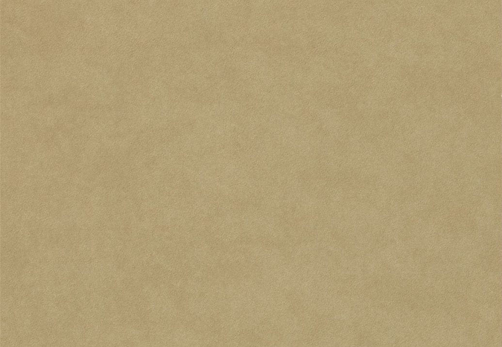 Обои Sanderson Parchment Flowers DPFWPP105