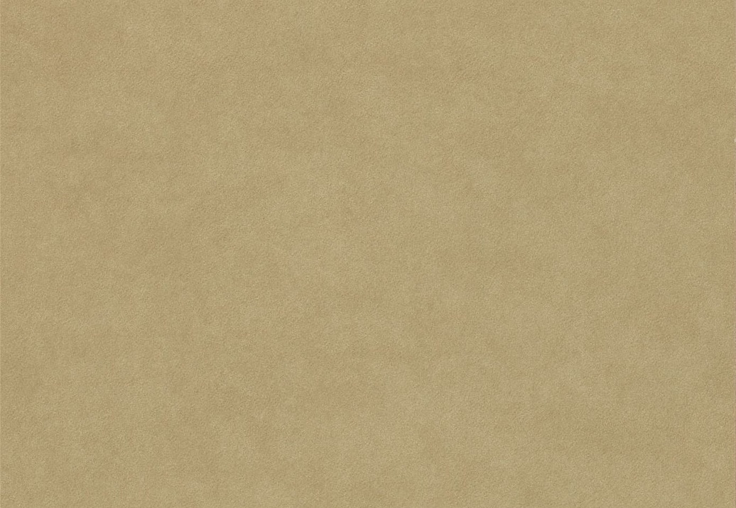 Обои Sanderson Parchment Flowers DPFWPP105