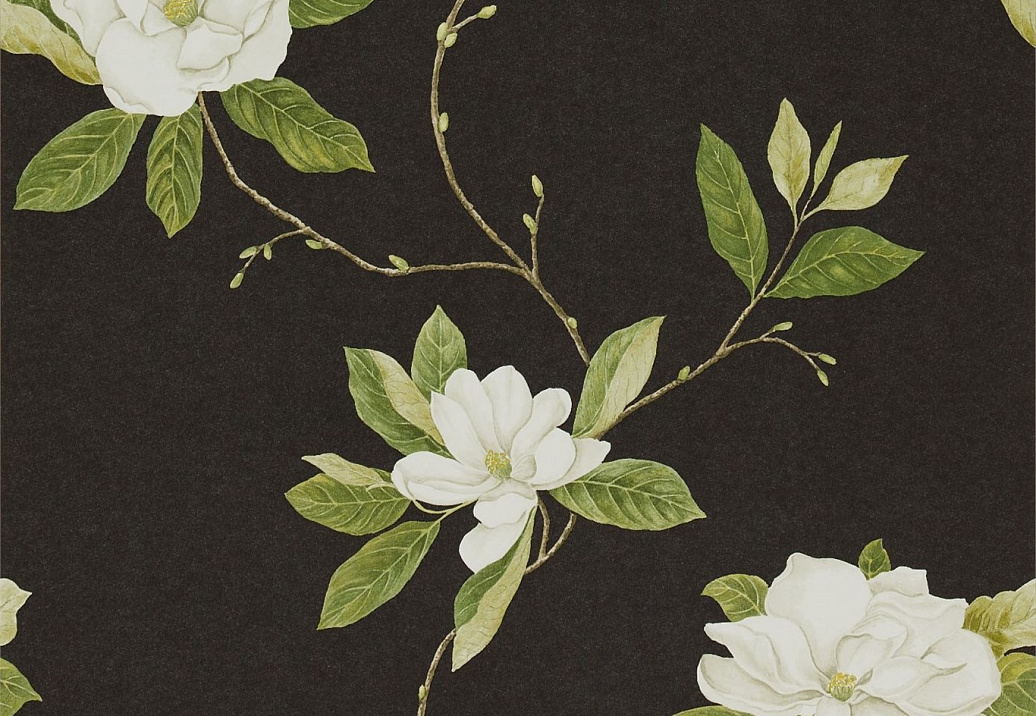 Обои Sanderson Parchment Flowers DPFWSW103