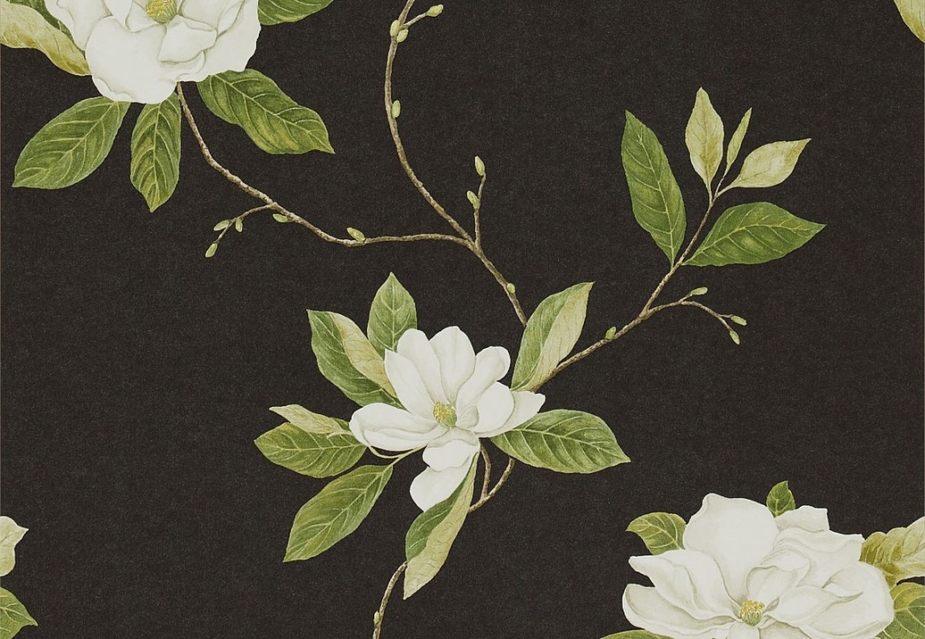 Обои Sanderson Parchment Flowers DPFWSW103