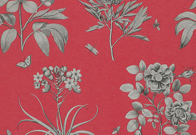 Обои Sanderson Parchment Flowers DPFWER101