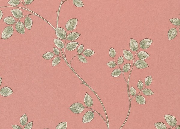 Обои Sanderson Parchment Flowers DPFWFR101