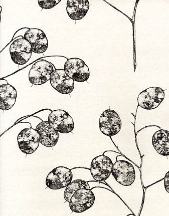 Обои Sanderson Parchment Flowers DPFWHO101