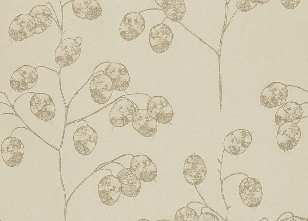 Обои Sanderson Parchment Flowers DPFWHO103
